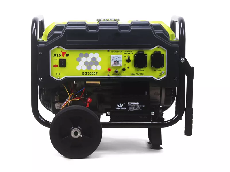 dual voltage electric generator gasoline