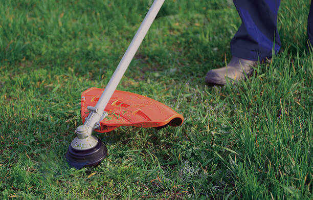 brush cutter mowed the grass.jpg