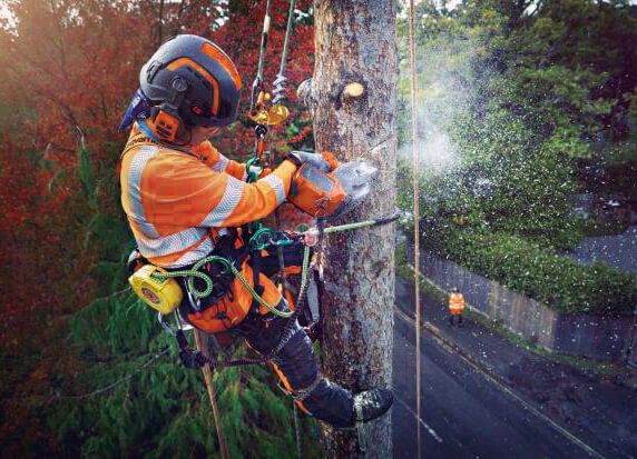 The lightweight design and maneuverability of the top handle cordless battery chainsaw help arborists work safely.jpg