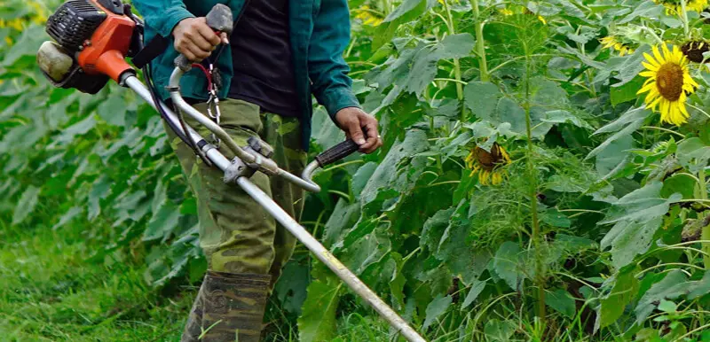 armazenando-cortador de escova.jpg