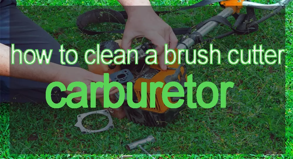 how-to-clean-a-brush-cutter-carburetor.jpg