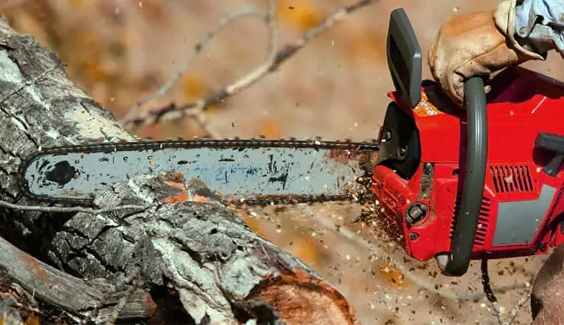 rear-handle-chainsaws-to-cutting-tree.jpg