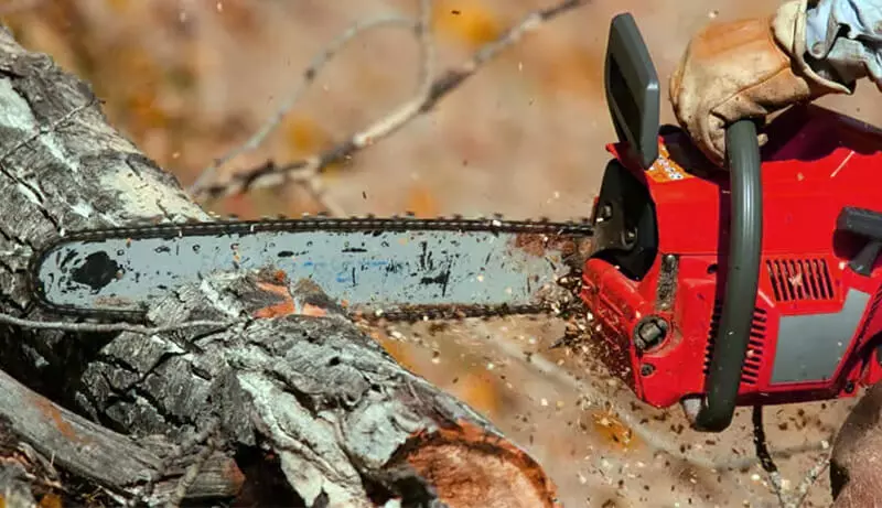 Motosierras con mango trasero para cortar árboles.jpg
