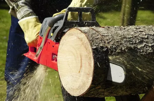 brushless-chainsaws.jpg