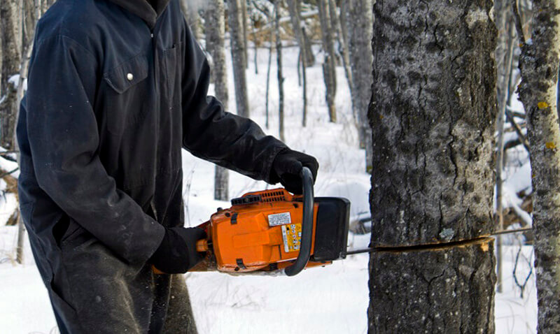 cutting-in-a-straight-line-with-a-chainsaw.jpg