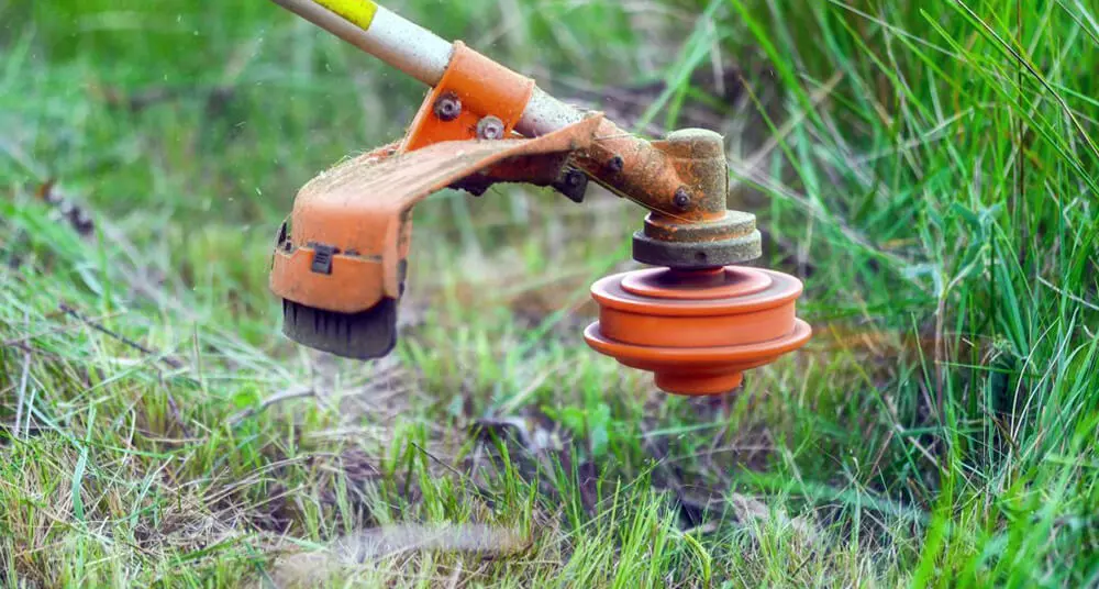 chinese-brush-cutter.jpg